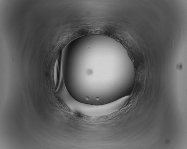 X0000098100041200804041254