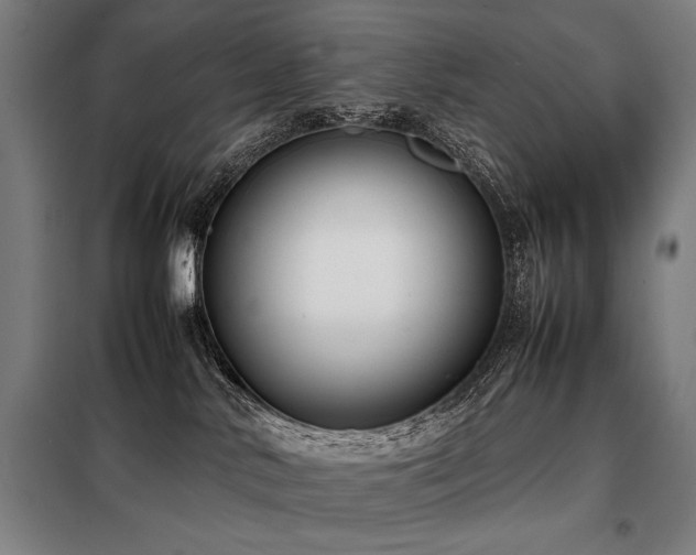 X0000098100042200804041254