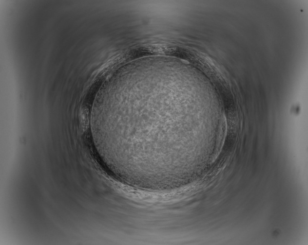 X0000098100043200804041254