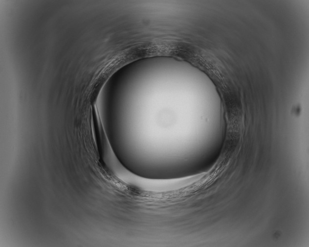 X0000098100045200804041254