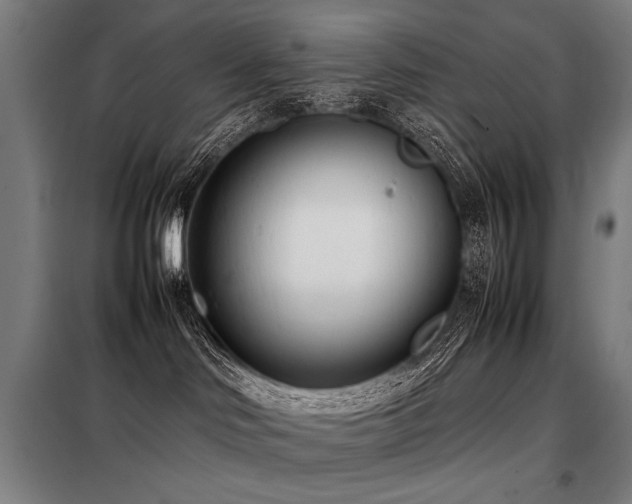 X0000098100046200804041254
