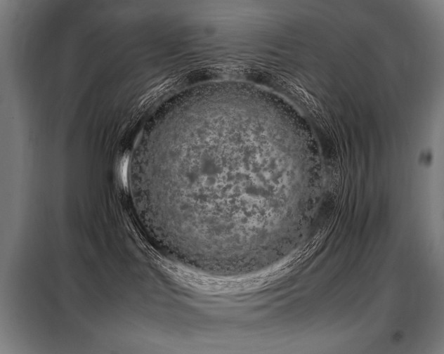 X0000098100047200804041254