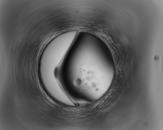 X0000098100049200804041253