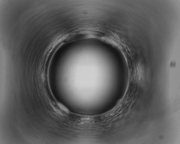 X0000098100050200804041253
