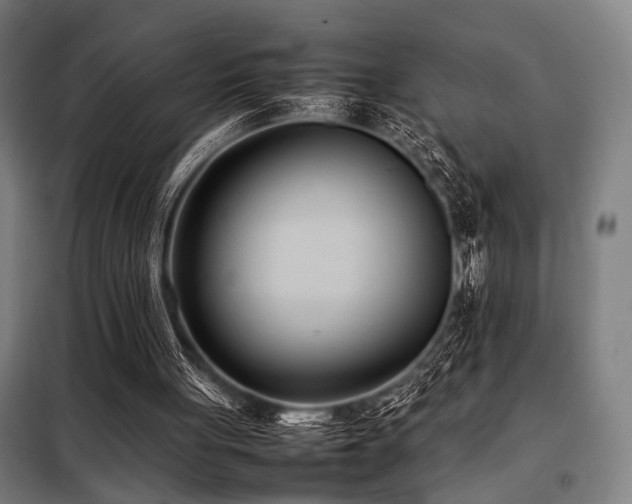 X0000098100051200804041253