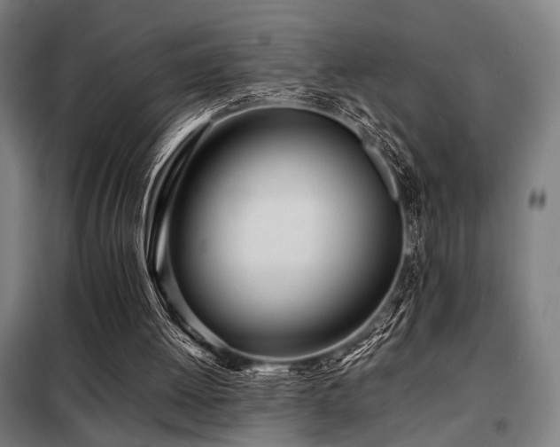 X0000098100052200804041253