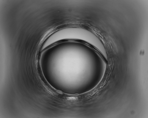 X0000098100053200804041253