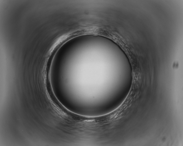 X0000098100054200804041253