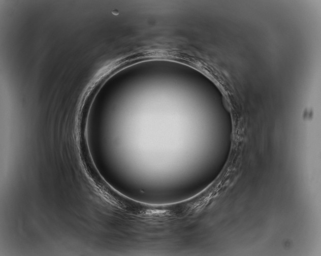 X0000098100055200804041253