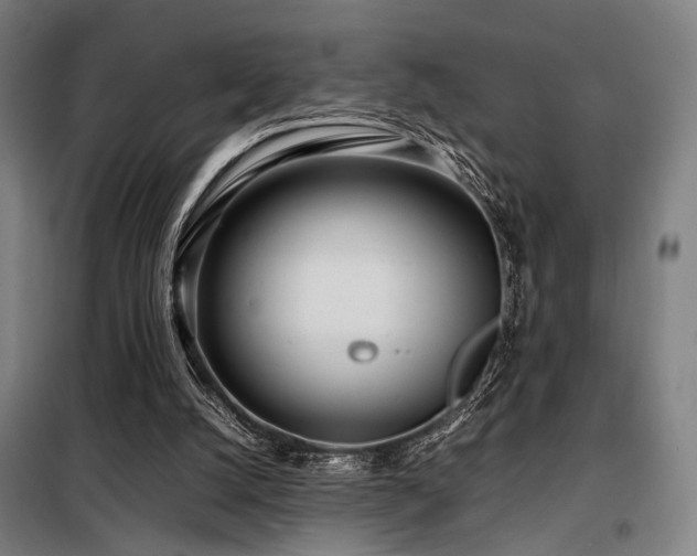 X0000098100056200804041253