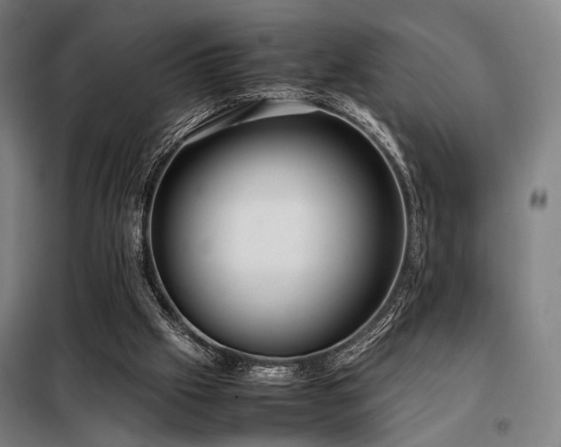 X0000098100057200804041253