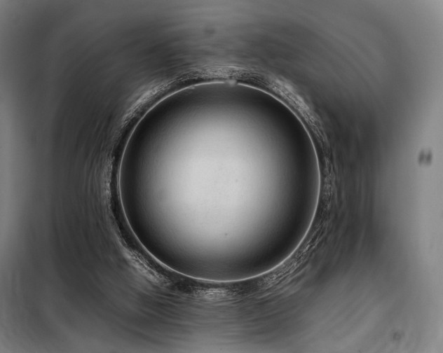 X0000098100058200804041253