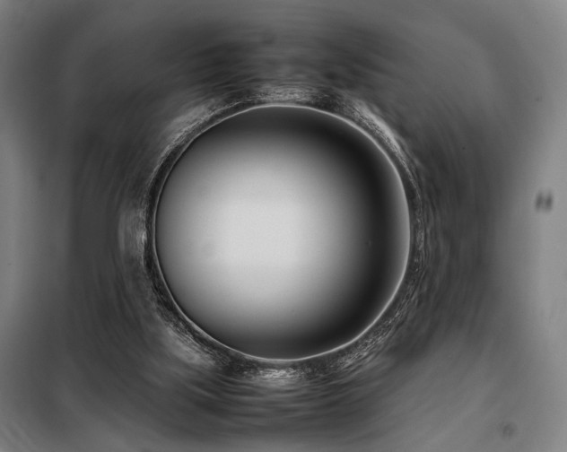 X0000098100059200804041253
