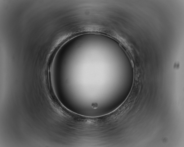 X0000098100060200804041253