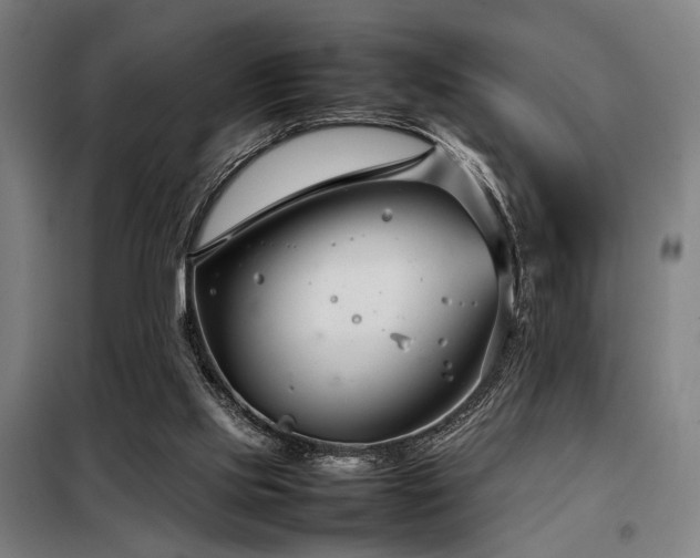 X0000098100061200804041253