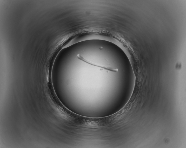 X0000098100062200804041253