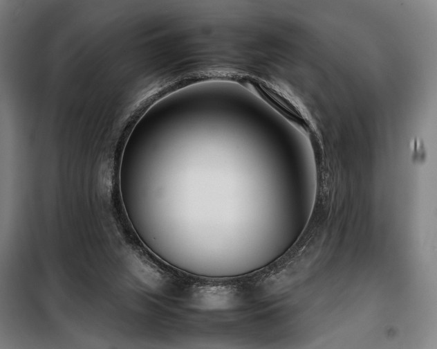 X0000098100063200804041253