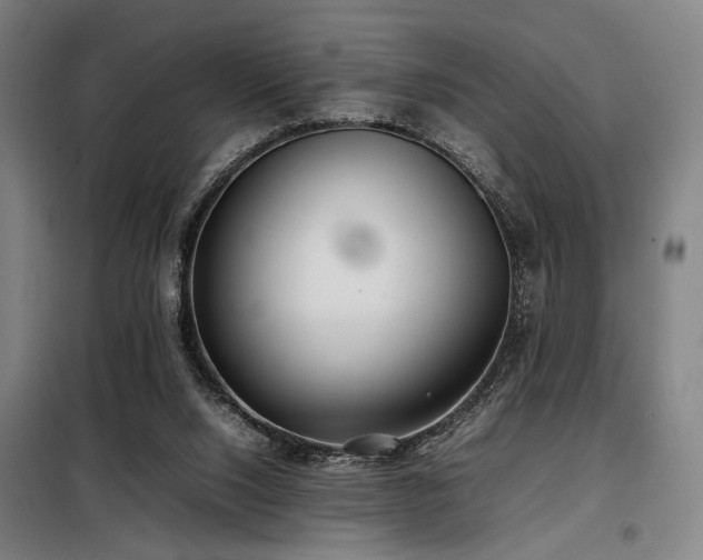X0000098100064200804041253