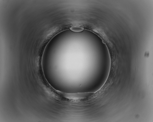 X0000098100066200804041253