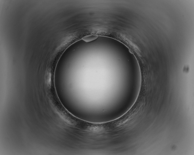X0000098100067200804041253