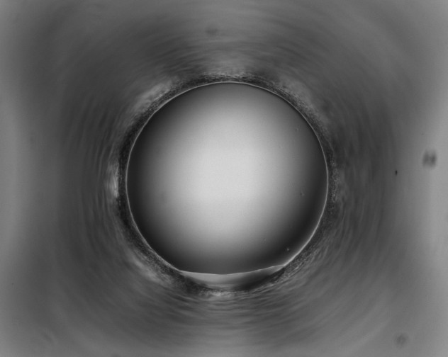 X0000098100068200804041253
