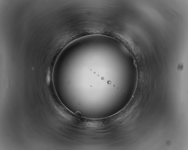 X0000098100069200804041254