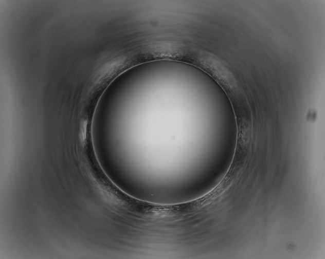 X0000098100070200804041254