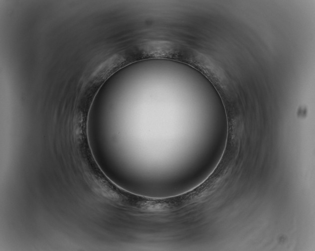 X0000098100073200804041254