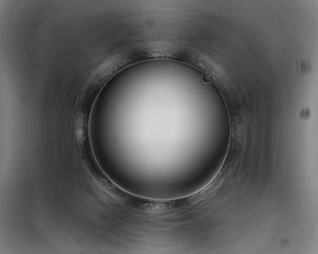 X0000098100074200804041254