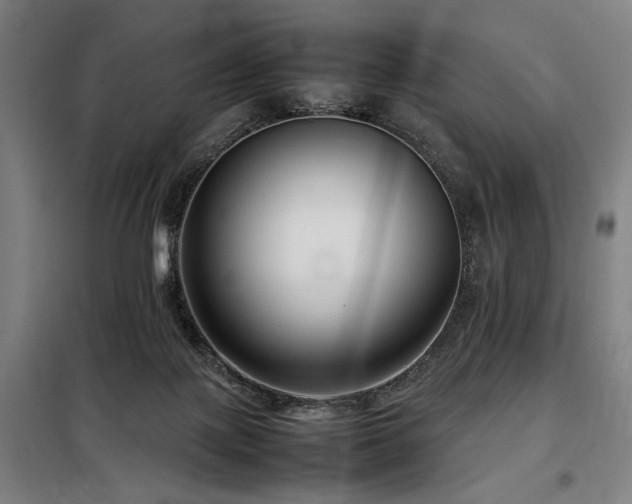 X0000098100075200804041254