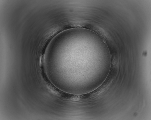 X0000098100076200804041254