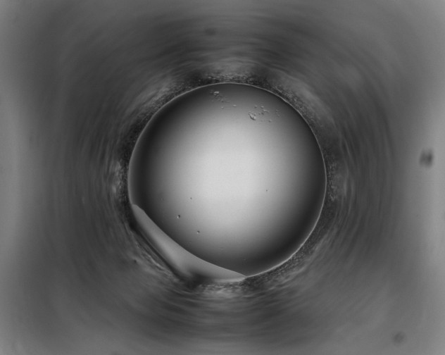 X0000098100077200804041254