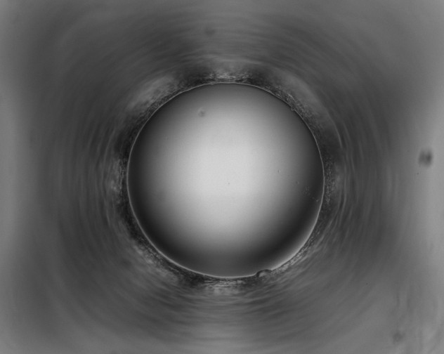 X0000098100078200804041254