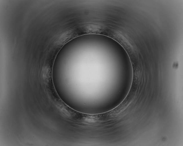 X0000098100079200804041254