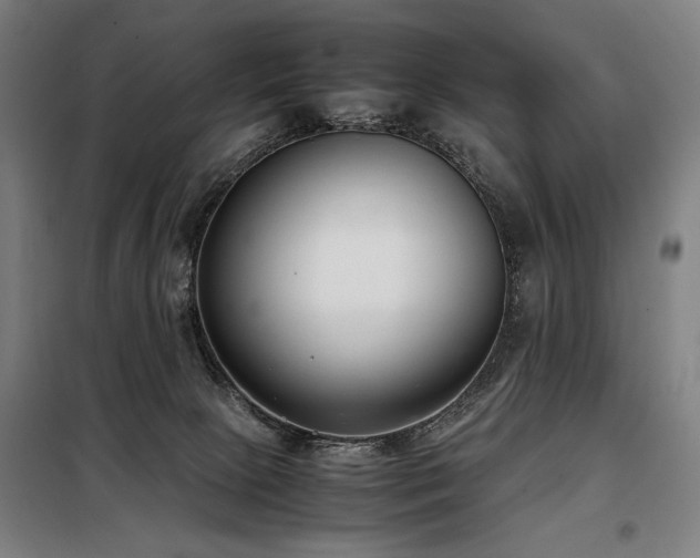 X0000098100081200804041254