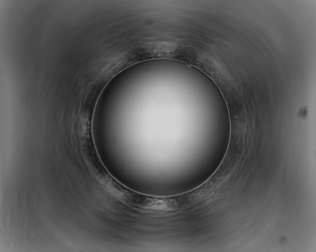 X0000098100083200804041254