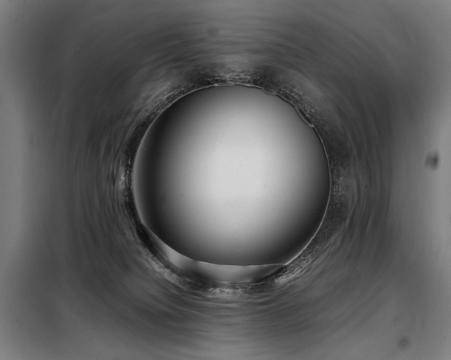 X0000098100084200804041254