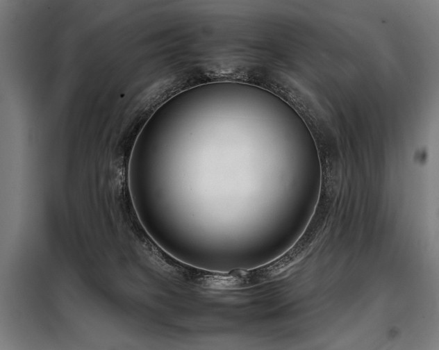 X0000098100085200804041254