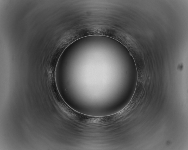 X0000098100086200804041254