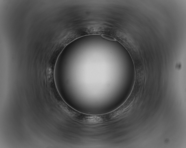 X0000098100087200804041254