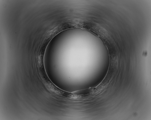 X0000098100088200804041254