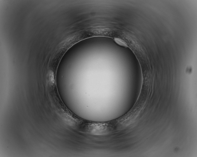 X0000098100089200804041254