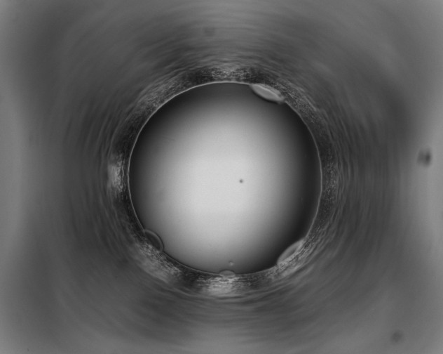 X0000098100090200804041254