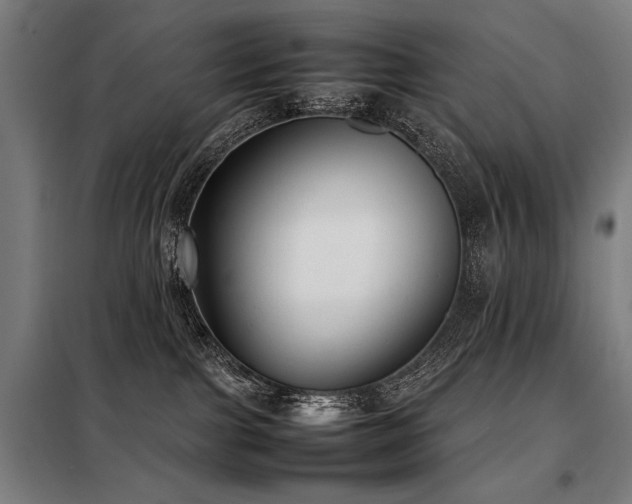 X0000098100091200804041254