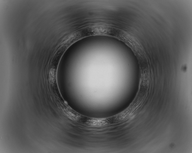 X0000098100093200804041254