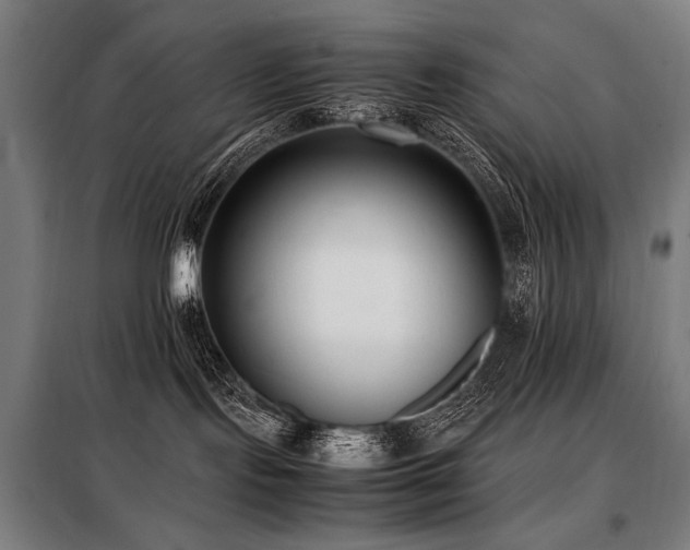X0000098100095200804041254