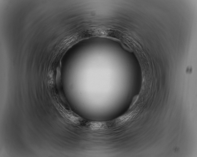 X0000098100096200804041254