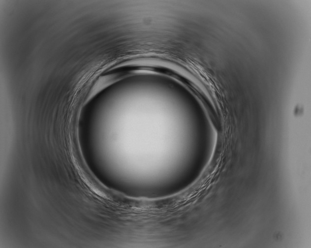 X0000098100097200804041253