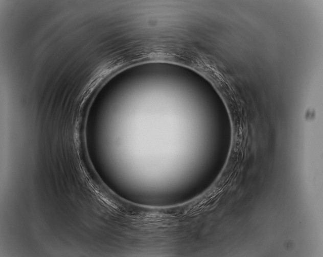 X0000098100098200804041253