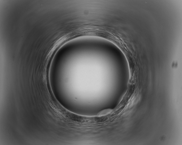 X0000098100099200804041253